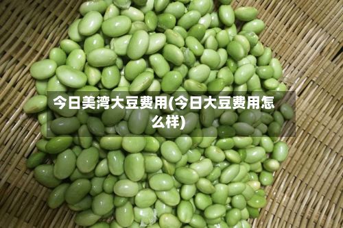 今日美湾大豆费用(今日大豆费用怎么样)-第3张图片