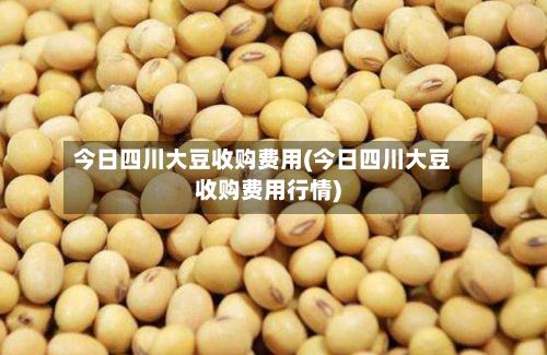 今日四川大豆收购费用(今日四川大豆收购费用行情)