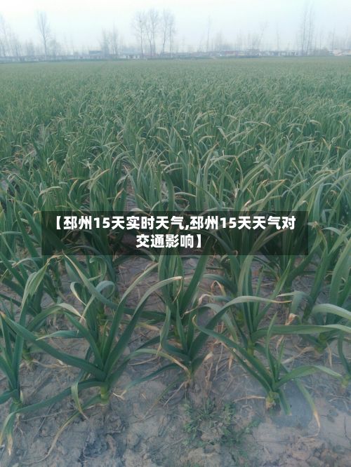 【邳州15天实时天气,邳州15天天气对交通影响】