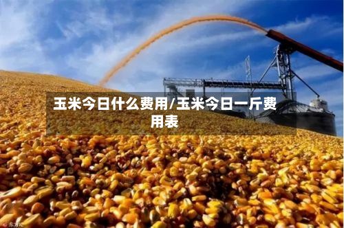 玉米今日什么费用/玉米今日一斤费用表-第2张图片