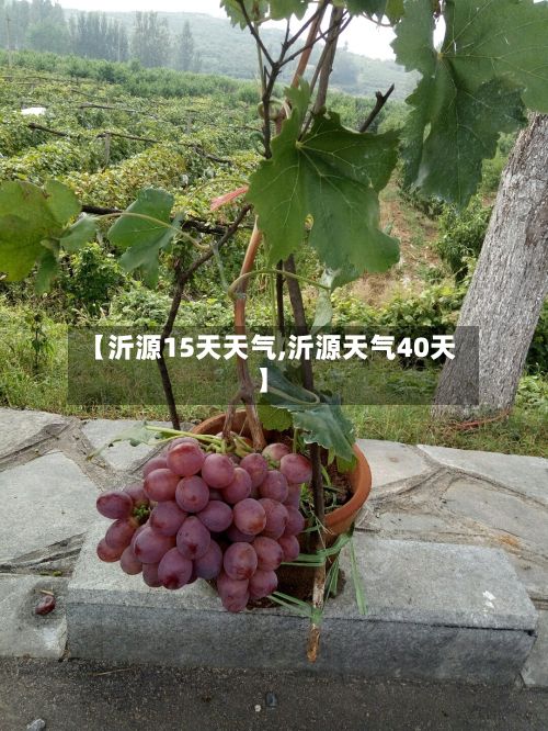 【沂源15天天气,沂源天气40天】-第2张图片