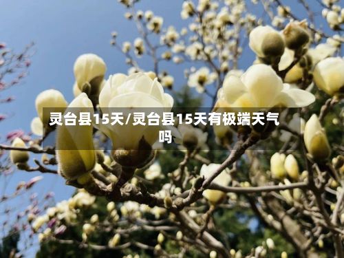 灵台县15天/灵台县15天有极端天气吗-第2张图片