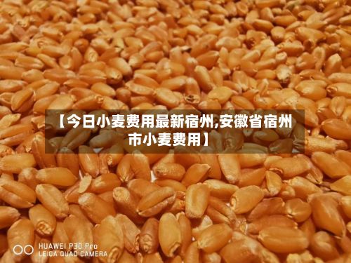 【今日小麦费用最新宿州,安徽省宿州市小麦费用】-第2张图片