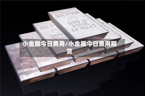 小金属今日费用/小金属今日费用期货-第2张图片