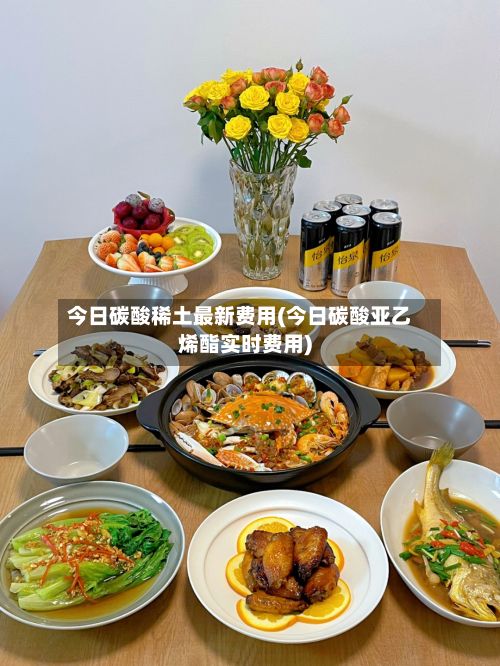 今日碳酸稀土最新费用(今日碳酸亚乙烯酯实时费用)