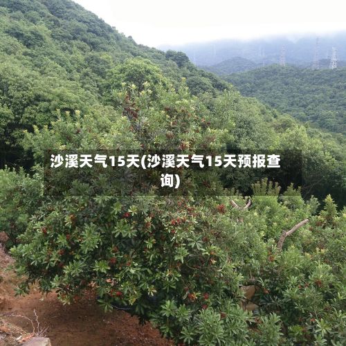 沙溪天气15天(沙溪天气15天预报查询)