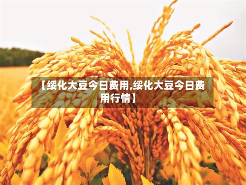 【绥化大豆今日费用,绥化大豆今日费用行情】