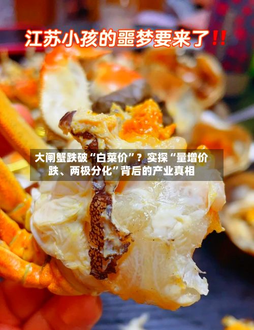 大闸蟹跌破“白菜价”？实探“量增价跌、两极分化”背后的产业真相