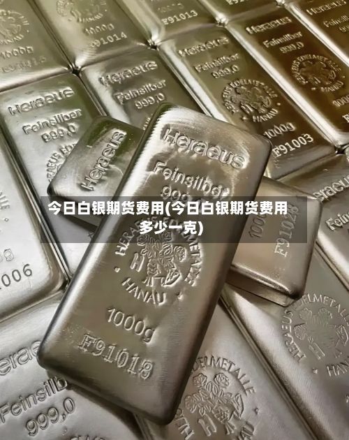 今日白银期货费用(今日白银期货费用多少一克)-第3张图片