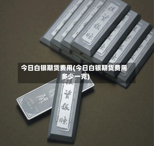 今日白银期货费用(今日白银期货费用多少一克)