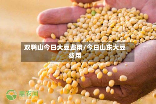 双鸭山今日大豆费用/今日山东大豆费用-第3张图片