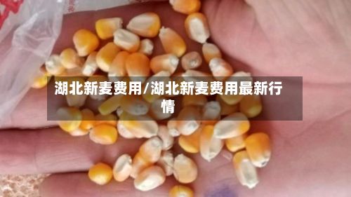 湖北新麦费用/湖北新麦费用最新行情