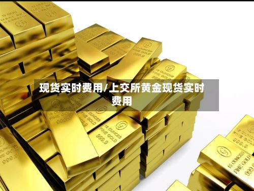 现货实时费用/上交所黄金现货实时费用