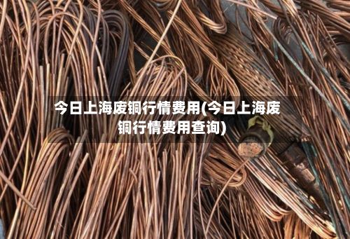 今日上海废铜行情费用(今日上海废铜行情费用查询)