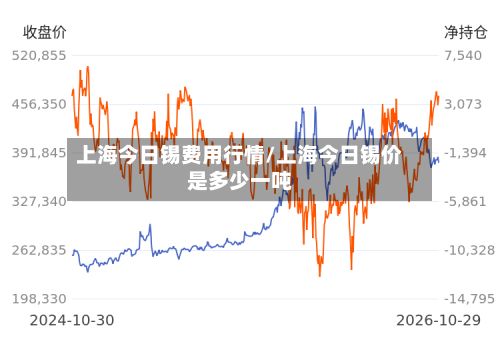 上海今日锡费用行情/上海今日锡价是多少一吨