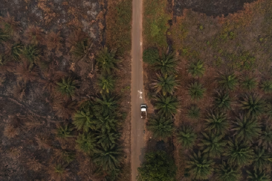 满足全球生物燃料需求，或将需要相当于美国蒙大拿州大小的土地